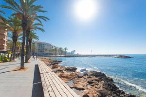 a beach with palm trees next to the water at CASA SUITE JTG in Alicante