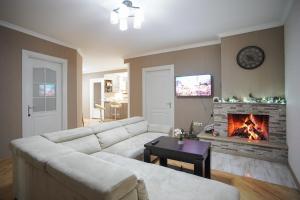 a living room with a couch and a fireplace at Zurabashvili Guest House in Sighnaghi