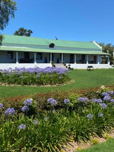 Gallery image of Sionsberg Farmstay in Riversdale