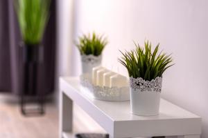 Fotografia z galérie ubytovania Apartament Anna v Krynici-Zdrój