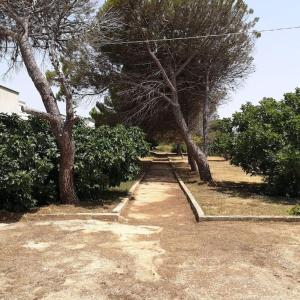 einen Feldweg mit Bäumen und Sträuchern in der Unterkunft Villa Aurora in Capilungo