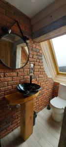 a bathroom with a sink and a mirror on a brick wall at Agroturystyka Słoneczny Zakątek in Sokolec