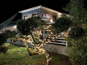 Vrt u objektu PORTO PORTES suites