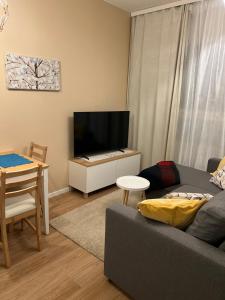 TV a/nebo společenská místnost v ubytování Cozy centre apartament Kuopio