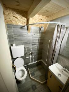 a small bathroom with a toilet and a sink at BB CHALET in Kolašin
