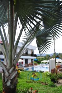 uma palmeira em frente a um edifício com piscina em Natural View em Melgar