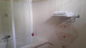 大博格Résidence rose Cannelle的带淋浴、浴缸和毛巾的浴室