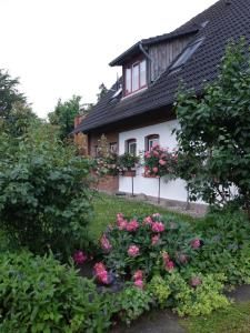 a house with pink flowers in front of it at Ferienwohnung-Strandkorb in Ulsnis