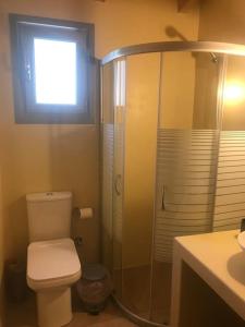 a bathroom with a shower and a toilet and a sink at Πέτρινη κατοικία στην Αίγινα - Stone House in Aigina in Khlóï +16 photos