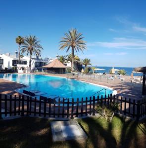 a large swimming pool with palm trees and the ocean at Adam's Place in San Bartolomé de Tirajana