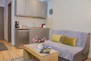 A kitchen or kitchenette at Holiday Meteora A