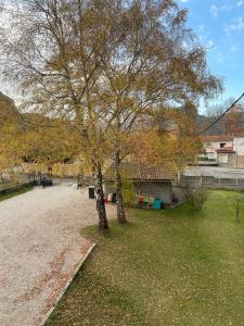 Appartement Tarascon sur Ariège في تاراسكون-سور-أرياج: شجرة في وسط الفناء