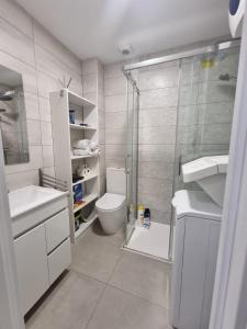 ein Bad mit einer Dusche, einem WC und einem Waschbecken in der Unterkunft Playa de Las Canteras & Puerto Loft in Las Palmas de Gran Canaria