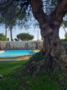 Photo de la galerie de l'établissement Villa con piscina Circeo - Sabaudia, à Borgo Montenero