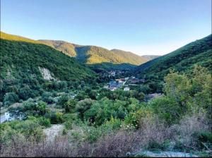 una vista aerea di una valle in montagna di Country House Albatros a Praskoveyevka