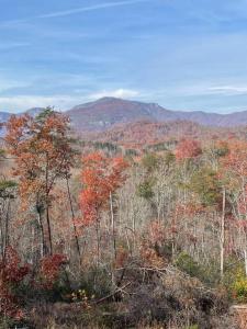 Gallery image of Mountain views, pets welcome-lake and river access in Lake Lure