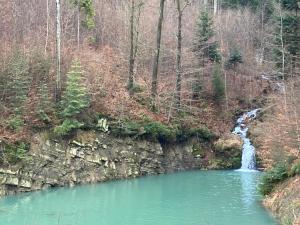 a river with a waterfall next to a forest at PUSTELNIA WODZA in Wisła