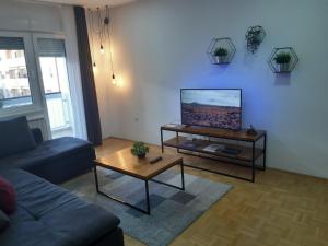 TV a/nebo společenská místnost v ubytování For5