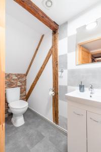 a bathroom with a toilet and a sink at Osada Pogodno 2 in Miłków