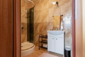 a bathroom with a sink and a shower and a toilet at PUSTELNIA WODZA in Wisła