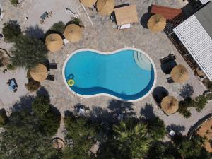 an overhead view of a swimming pool with trees at Onira in Parikia