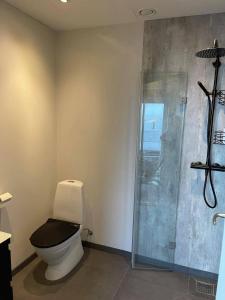 a bathroom with a toilet and a shower at Modern Apartment With City & Oceanside View in Tórshavn