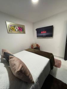 een slaapkamer met een bed en een tv aan de muur bij Apartaestudio San Gil - Hostal Green in San Gil