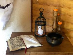 uma mesa com um livro e uma gaiola de pássaros e uma vela em Chalé da Magia em Campos do Jordão