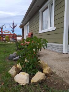a plant in front of a house with rocks at Acol in Perito Moreno
