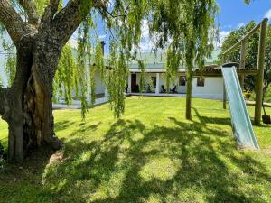 a tree with a swing in a yard at Sionsberg Farmstay in Riversdale