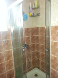 a shower with a glass door in a bathroom at Apartments Nada in Utjeha