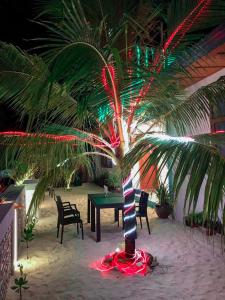 Fotografie z fotogalerie ubytování Blue Coral Vashafaru Maldives v destinaci Vashafaru