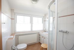 a bathroom with a toilet and a sink and a window at Ferienwohnung Weingut Ackermann in Zeltingen-Rachtig