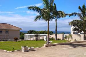 a yard with two palm trees and a house at Three on Freefall in Elysium