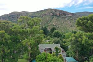 Gallery image of Patcham Place in Clarens