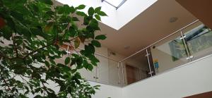 Zimmer mit Glastüren und einem Baum in der Unterkunft Hotel Kreator-Sport in Krakau