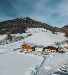 Imagen de la galería de Wimmhof, en Sankt Martin am Tennengebirge