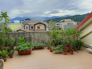uma varanda com vasos de plantas num edifício em 236 寓所民宿 em Taitung City