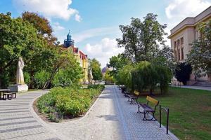 une rangée de bancs dans un parc avec des bâtiments dans l'établissement Kamienica Bydgoska, à Bydgoszcz