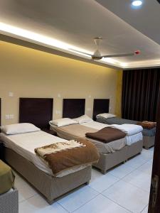 Легло или легла в стая в Aqaba Roza