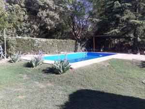 a swimming pool in a yard next to a hedge at Pequeña casa en chacras de coria in Chacras de Coria