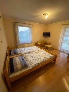 a bedroom with a bed and a tv in it at Agroturystyka u Haliny in Kamesznica