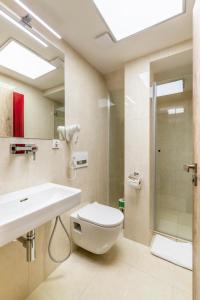 La salle de bains est pourvue de toilettes, d'un lavabo et d'une douche. dans l'établissement Masná 20 - Old Town Residence, à Prague