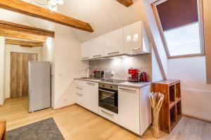 Kuchyň nebo kuchyňský kout v ubytování Masná 20 - Old Town Residence