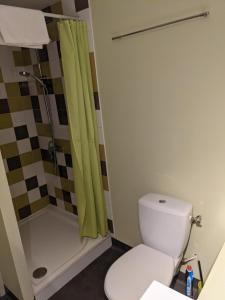 een badkamer met een toilet en een douche bij Les gîtes de Cour Rémond in Villers-la-Faye