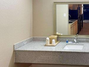 a bathroom counter with a sink and a mirror at Suburban Studios in Columbia