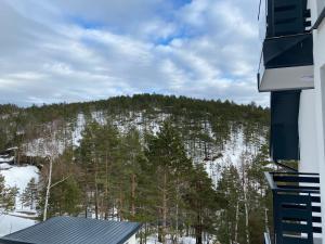 - une vue sur une montagne enneigée avec des arbres dans l'établissement Apartman Anastasija Jezero, à Divčibare