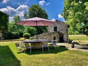 a table and chairs with an umbrella in a yard at Domaine de la Planche de Melussac in Cussac-sur-Loire