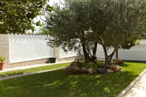 a group of rocks under a tree in a yard at Homing Cambrils 23 in Cambrils