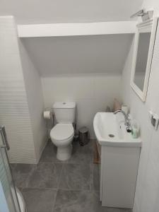 Kúpeľňa v ubytovaní Wenecja pokoje do wynajecia